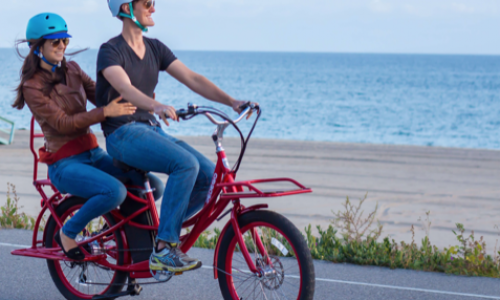 Family Adventure Electric Bikes
