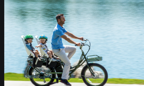 Family Adventure Electric Bikes